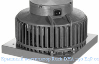   Ruck DHA 250 E4P 01
