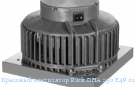 ������� ���������� Ruck DHA 250 E4P 01