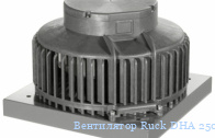 ���������� Ruck DHA 250 E4 01