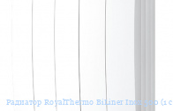 Радиатор RoyalThermo BiLiner Inox 500 (1 секция)