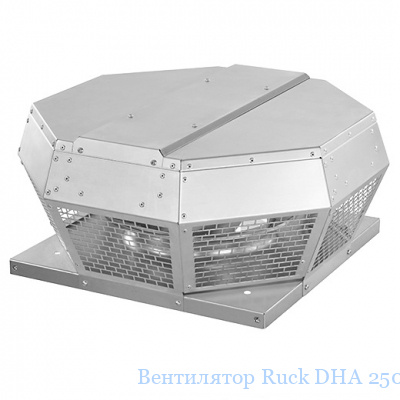 ���������� Ruck DHA 250 E2 10