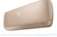 ���������� ��������� ���� Hisense AMS-09UR4SVETG67(C)