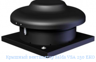 ������� ���������� Salda VSA�250 EKO