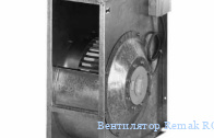 ���������� Remak RQ 25-6D